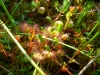 apskritalape-sualasare-07