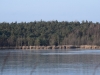 gejus056
