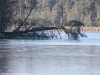 gejus064