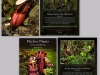 stewartmcpherson-pitcher-plants-of-the-old-world-99