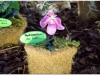 2017-05-13_14856-paphiopedilum-all-hill