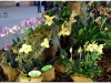 2017-05-13_14858-raibuoles
