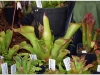 2017-05-13_14739-heliamforos