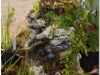 2017-05-13_14784-kriauklenis-skendenic5b3-apsupty