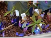 2017-05-13_14797