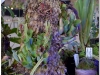 2017-05-13_14829