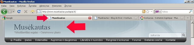 Musekautas – Mozilla Firefox 2011.06.25 213129