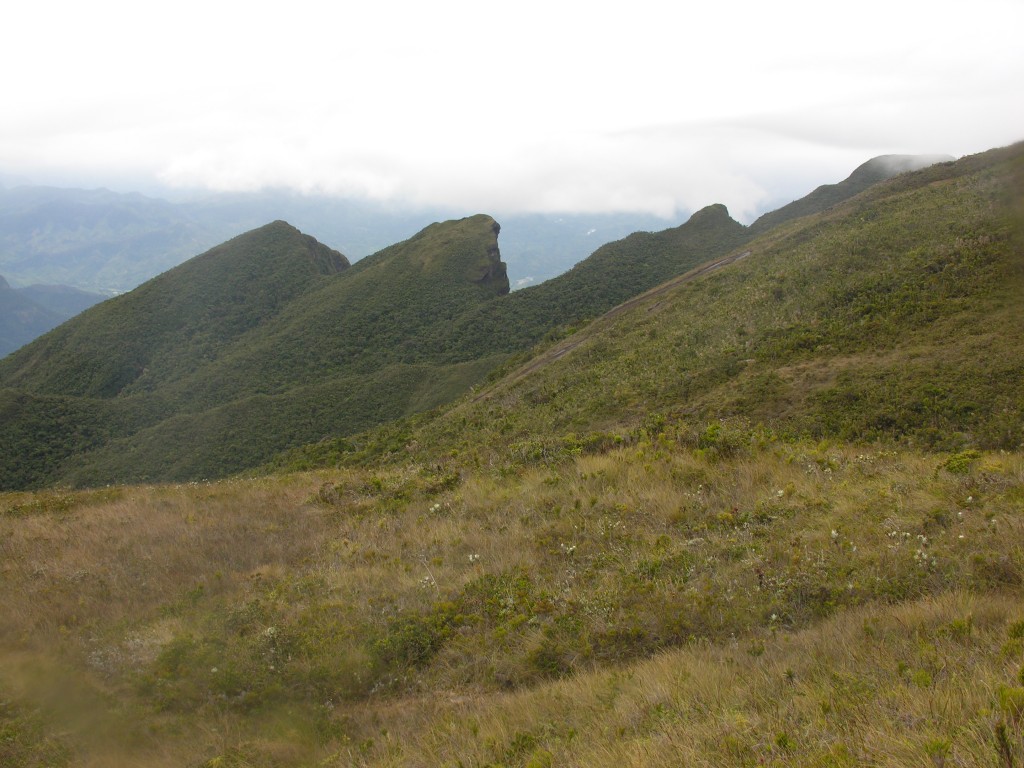 The remote summit of Mount Marojejy