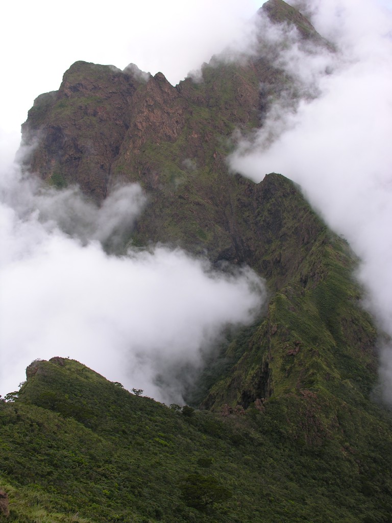 The knife edge ridge that leads to the habitat of Nepenthes sibuyanensis and N. argentii on Mount Mayo, Sibiuyan Island, Philippines