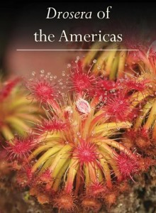 Drosera3