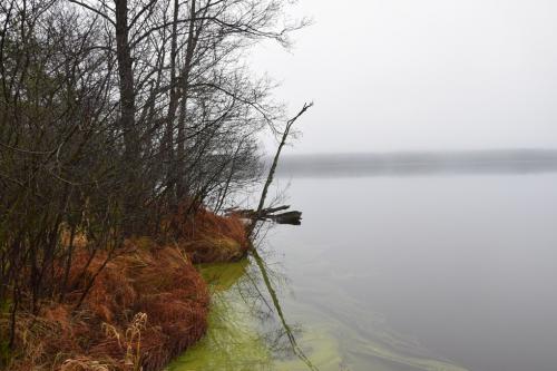 Aplink Kernavo ežerą