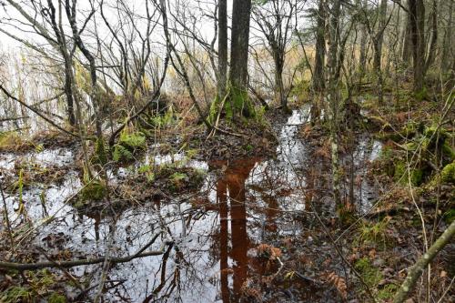 Kernavo pakrančių radiniai