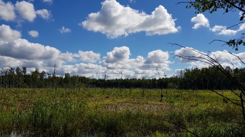 Kažkur ant Molėtų-Anykščių-Utenos rubežiaus © Lina Deimantavičiūtė